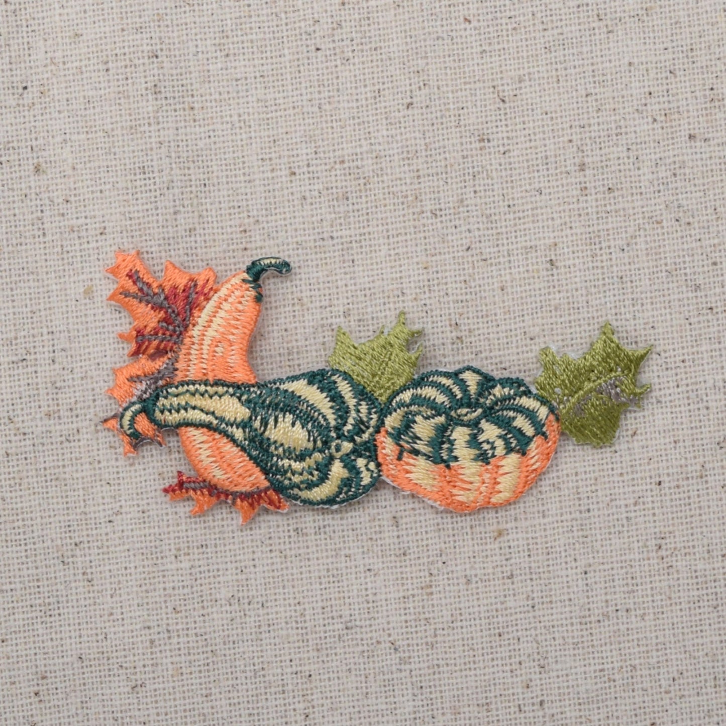 Pumpkins - Gourds - Leaves - Fall Harvest - Iron on Applique - Embroidered Patch - 693888A