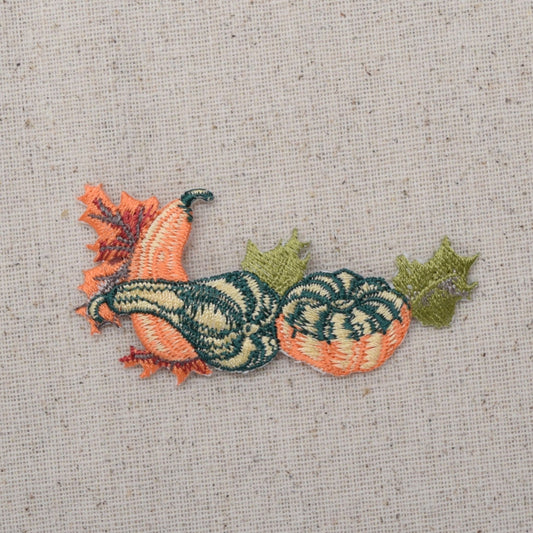 Pumpkins - Gourds - Leaves - Fall Harvest - Iron on Applique - Embroidered Patch - 693888A