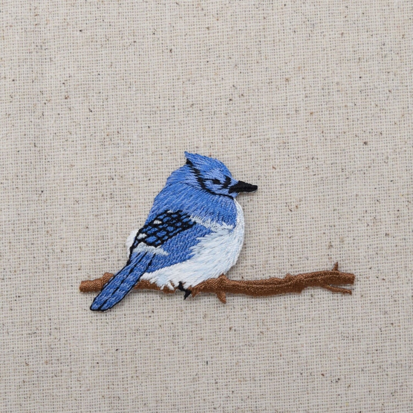 Blue Jay Sitting on Tree Branch - Iron on Patch