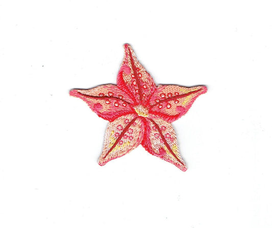 Starfish - Tropical - Pink/Coral - Sea Star - Iron on Applique - Embroidered Patch - 697998-A