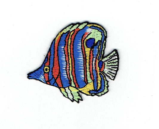 Tropical Fish - Blue/Green/Orange Stripes - Angelfish - Iron on Applique - Embroidered Patch - 696398-A