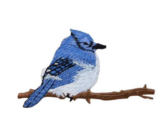 Blue Jay Sitting on Tree Branch - Iron on Patch