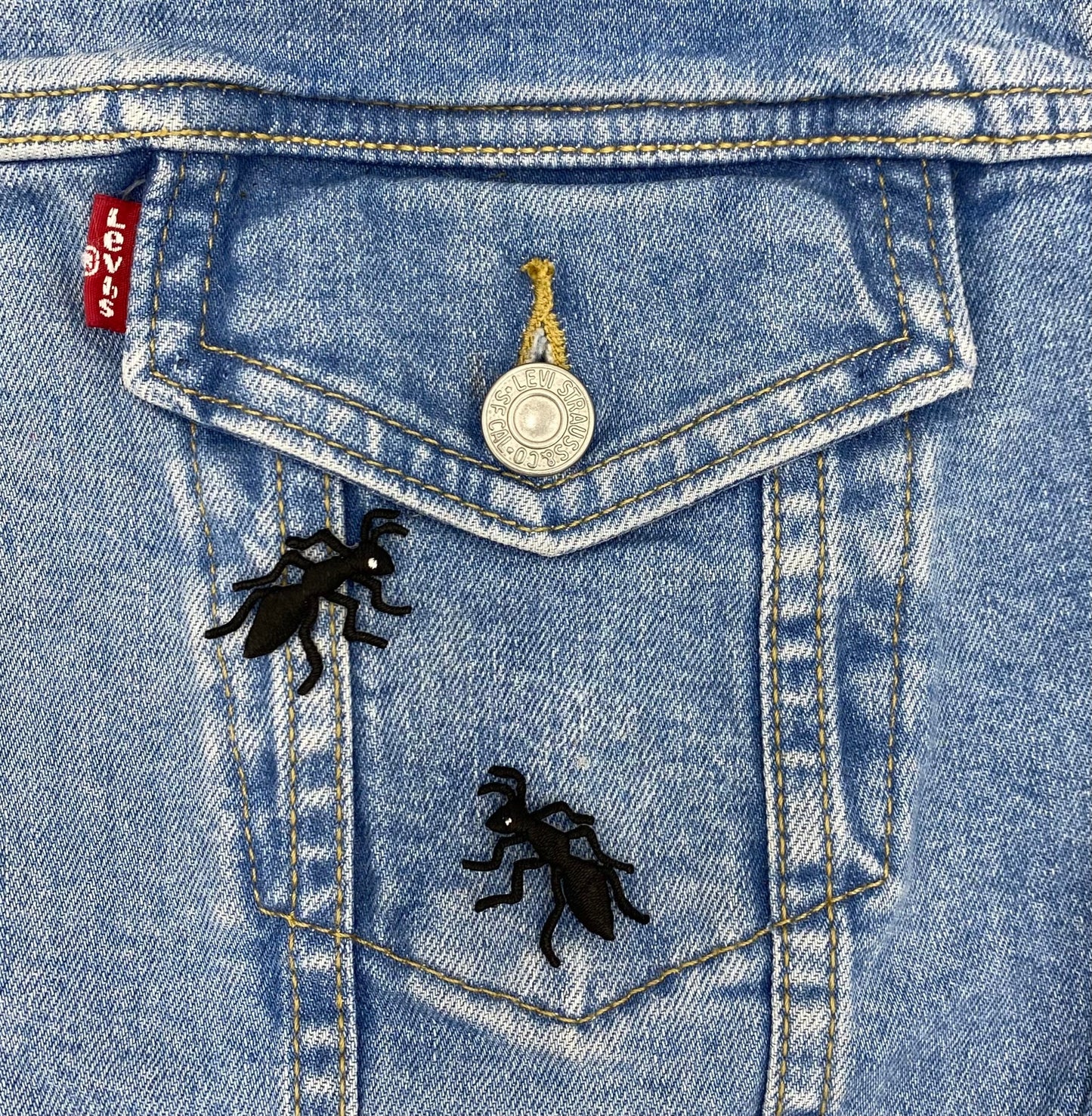 Black Ants, Insects, Bugs, Embroidered, Iron-on Patch