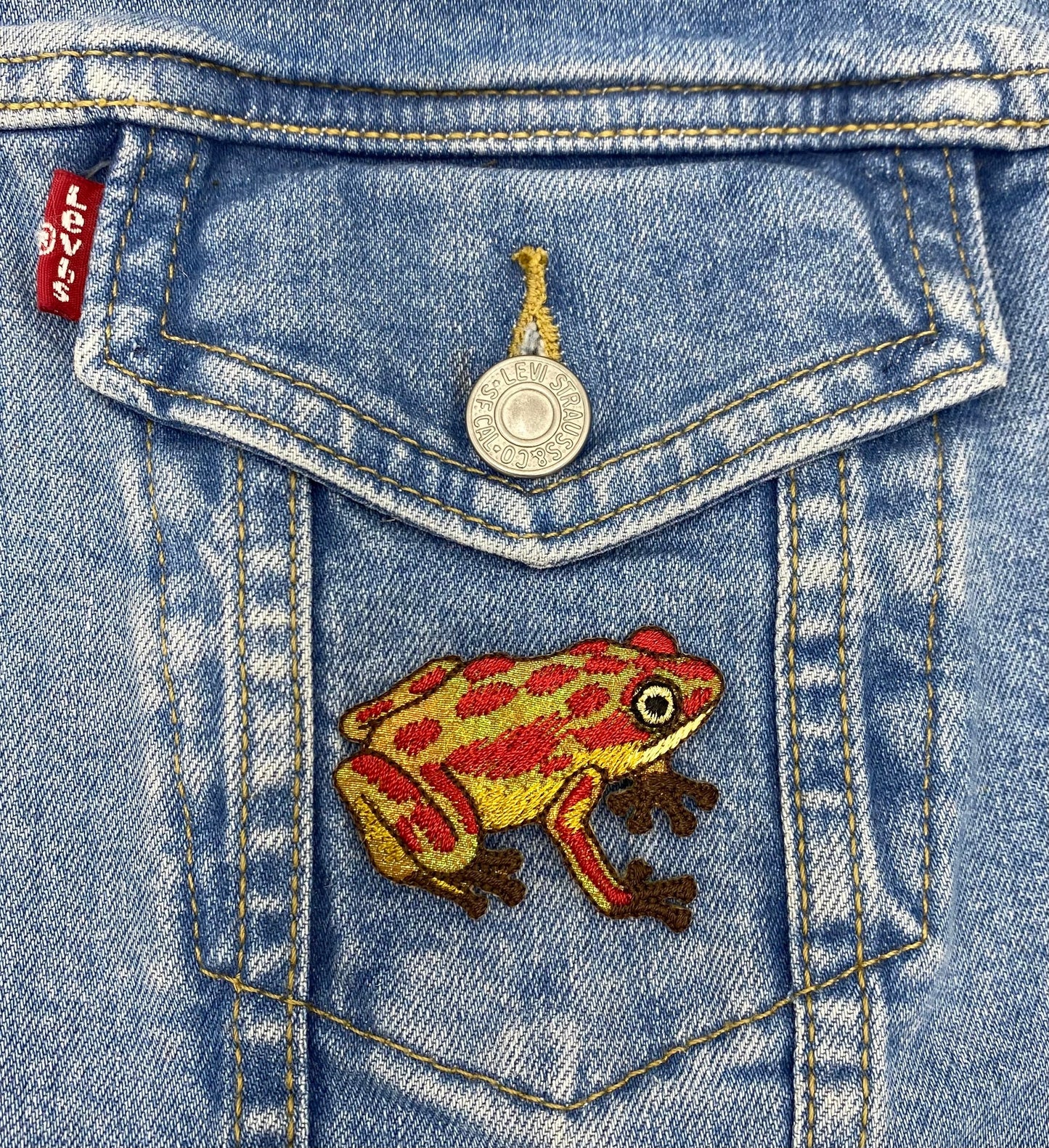 Red Tree Frog, Shimmery Iridescent, Iron-on Patch, Embroidered Badge